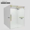 Frameless Slidable Shower Door, 56-60" W × 76" H, 5/16" Clear Tempered Glass, Gold Stainless Steel Handle, Noiseless, Waterproof 3