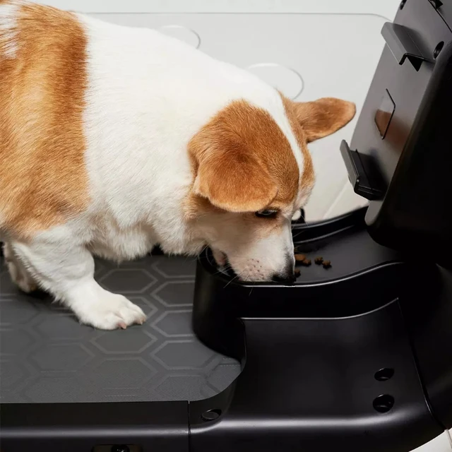 Ly Treadmill For Dog Water For Sale Pet Treadmill Cheap Dog