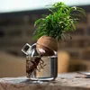 Nordic Style Glass Vase Home Decoration Hydroponic Vases Transparent Tabletop Flower Decor Ornament Hydroponic Plant Bottle Cork 6