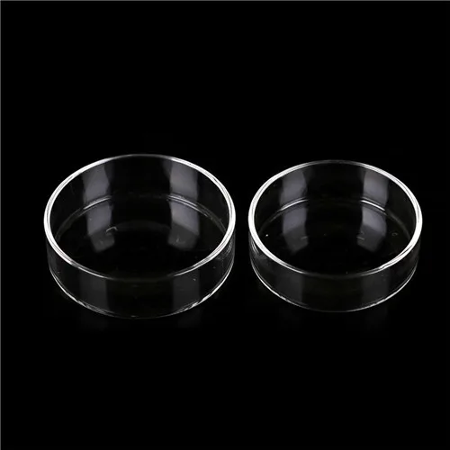 Petri Dishes High Borosilicate Glass 60mm Bacterial Petri Dish With Cover Biochemical Culture Labware Tissue dishes