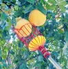 ruit Picker Pole Tool with Basket Long Handle Fruit Picking Artifact Fruit Tree Picker Apple Orange Picker Pole Tool with Basket 3