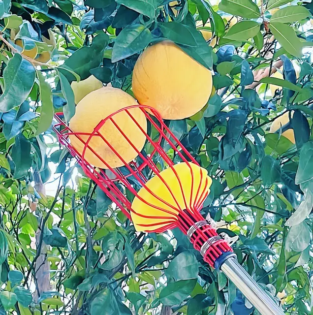 ruit Picker Pole Tool with Basket Long Handle Fruit Picking Artifact Fruit Tree Picker Apple Orange Picker Pole Tool with Basket 3