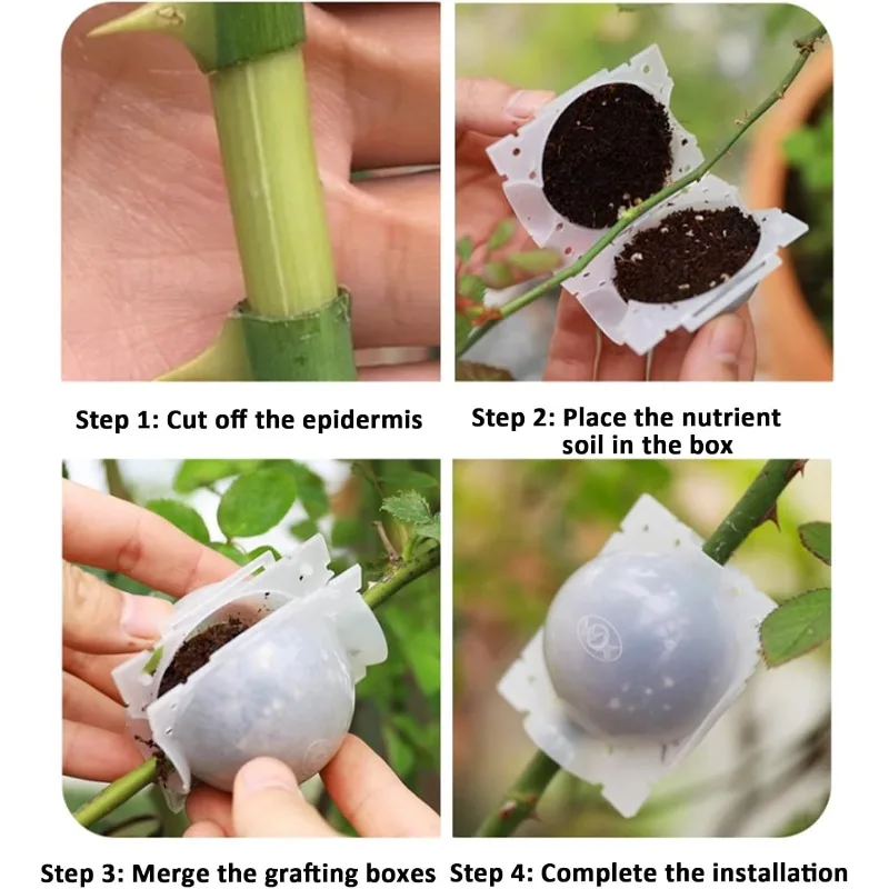 Reusable Plant Rooting & Propagation Ball