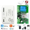 Zigbee WiFi Module Tuya Smart Relay Switch 1CH 12V 24V 220V 110V RF433 Work With Tuya/Smart-Life APP Alexa 1