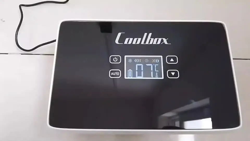 インスリン冷蔵ボックス薬クーラー 2 バッテリー付き大容量車の冷蔵庫