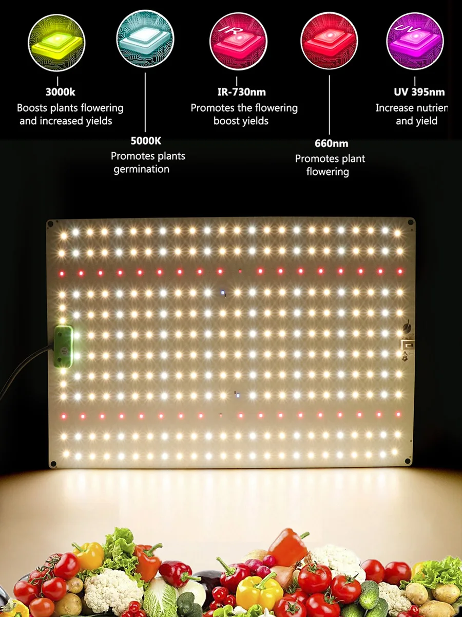 Growth Light, Plantas de Interior Flores Sementes De Estufa, 1000W, LM282B