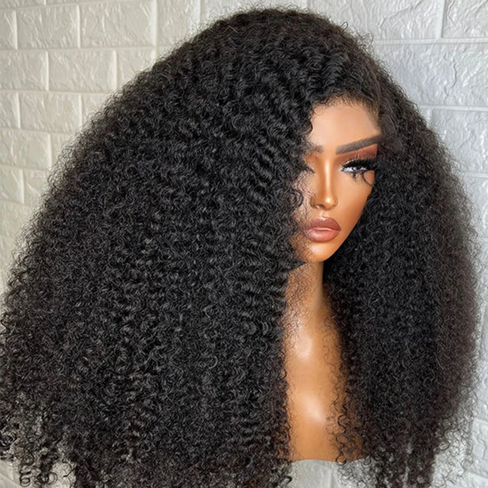 Kinky Curly Human Hair Wig 2