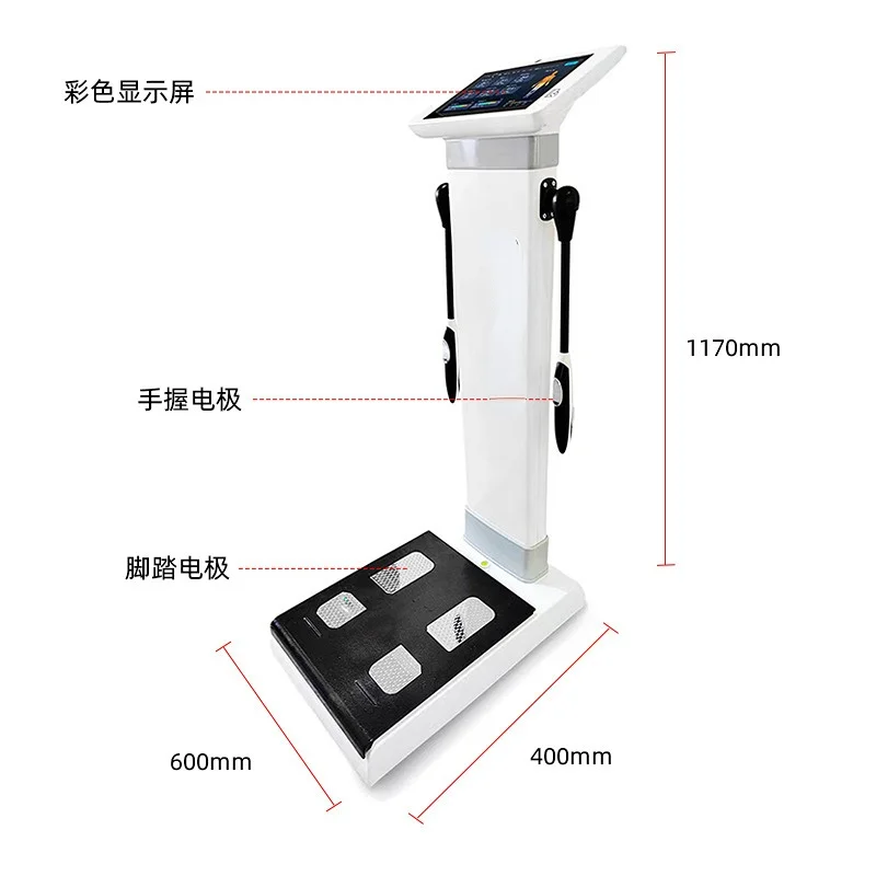 Bia Human Body Composition Analyzer with Scale - China Human Body Elements  Analyzer and Body Elements Analyzer price