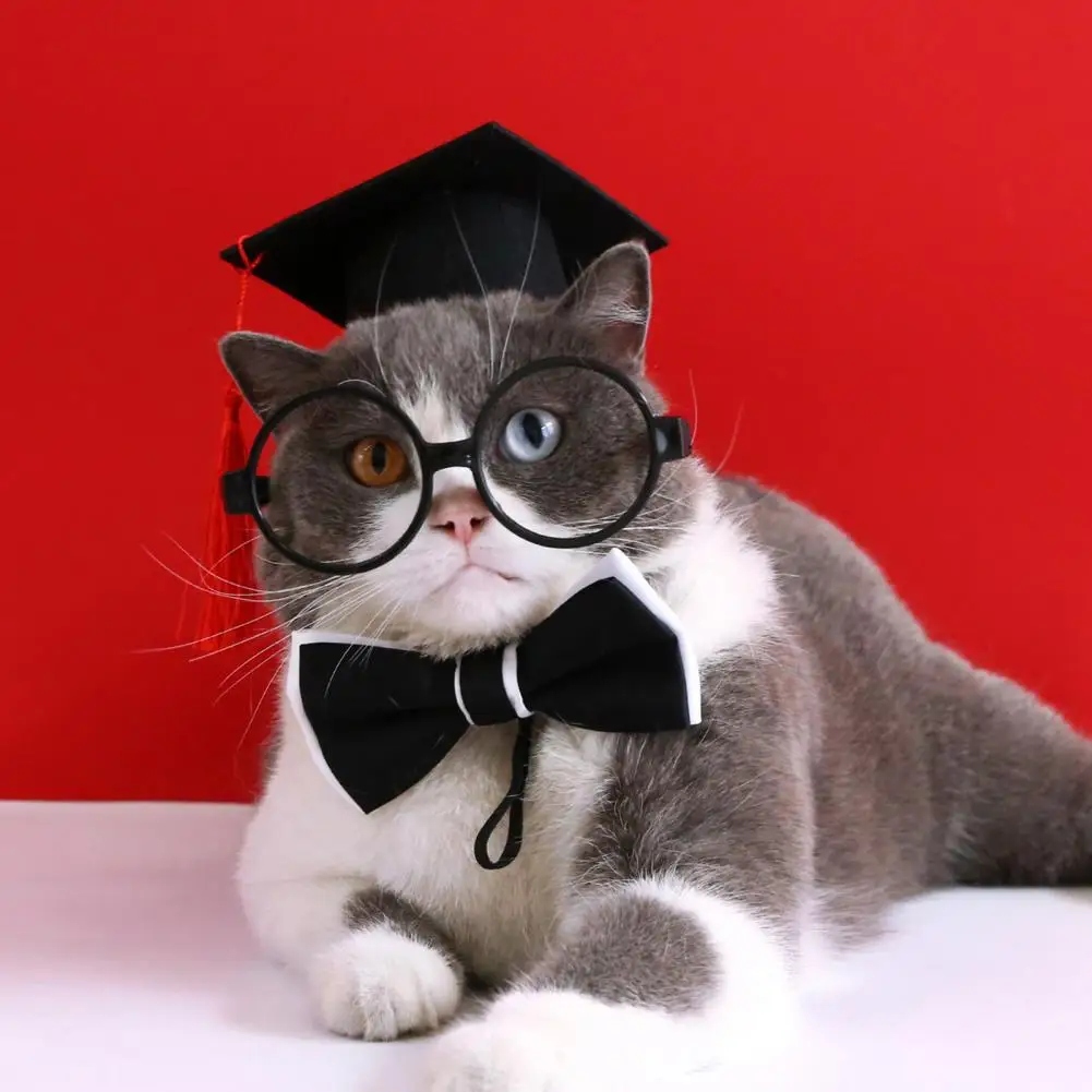 1 Set Pet Graduation Suit Adorable Adjustable with Tassel Felt Pet Cats Dogs Cosplay Hat Collar Glasses Set Pet Accessories 5