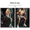 5-Pack Resistance Bands Set TPE Fitness Yoga Stretch Bands Unisex Gym Home Use Small Strength Training Elastic Bands 6