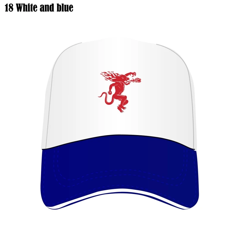 Bill Hats Men Black Mesh Cotton Hip Hop Bill Hats Print Bill Hat Fireball Cannella Whisky Logo Art Cappello Personalizzato Per Uomo