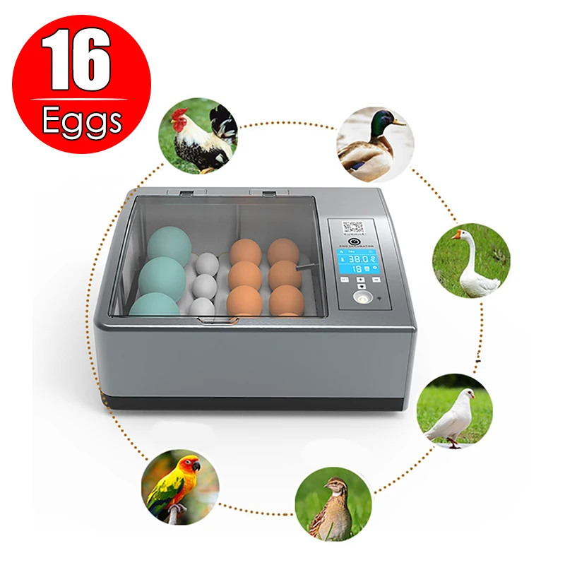 16-ovos-lcd-display-automatico-egg-incubadora-turning-temp-control-farm-brooder-para-chicken-duck-goose-quail-bird-egg-incubadora