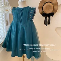 Robe de princesse en fibre de dentelle pour filles, vêtements de fête d'anniversaire pour tout-petits, robe en maille pour enfants, été 2024, 2 à 7 ans 3