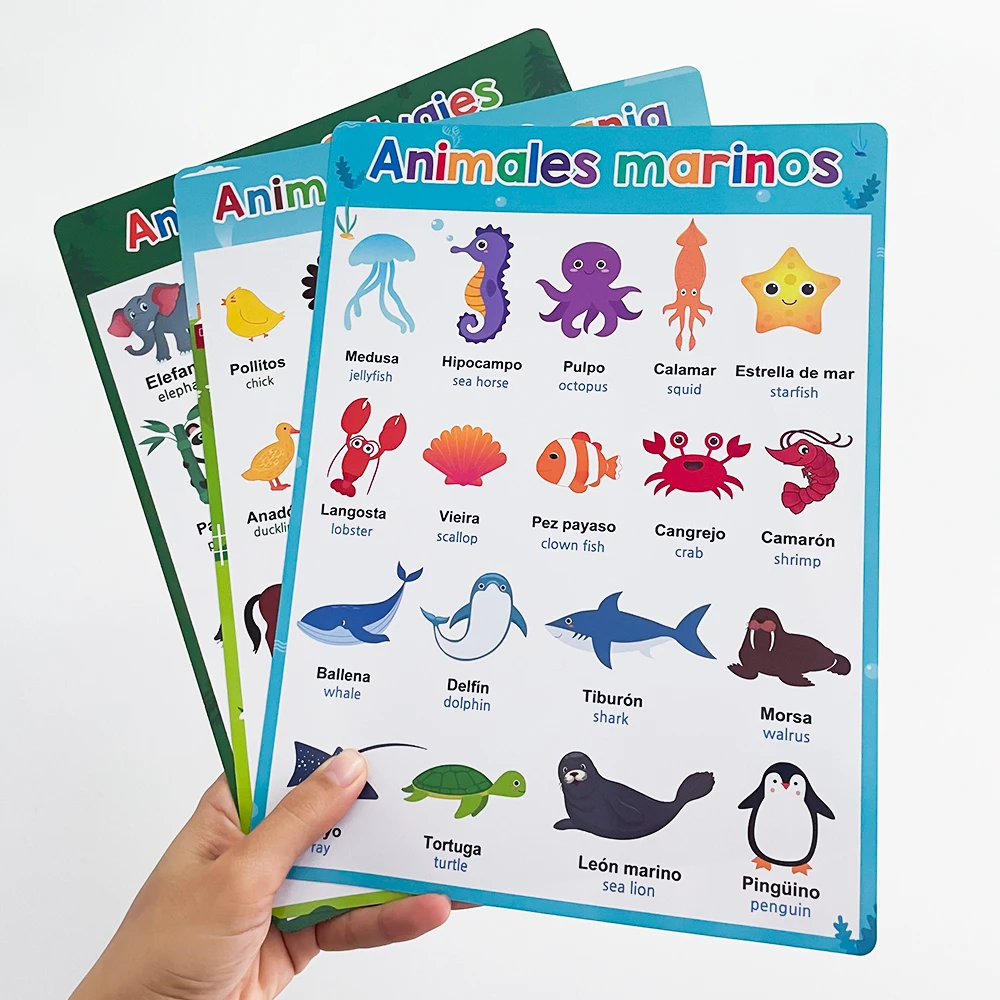 Spanish English Bilingual Words Learning A4 Posters Charts for Kids Kindergarten Classroom Decoration Teacher Teaching Aids 4