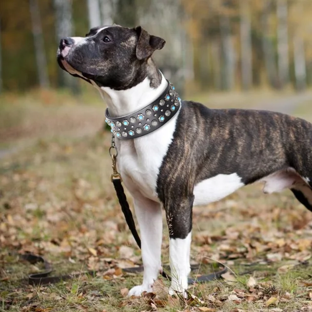 Genuine Leather Big Dog Collar 2inch Wide Diamond Dog Collars Durable Spike Pet Necklace Luxury for Medium Large Dogs Pitbull 5