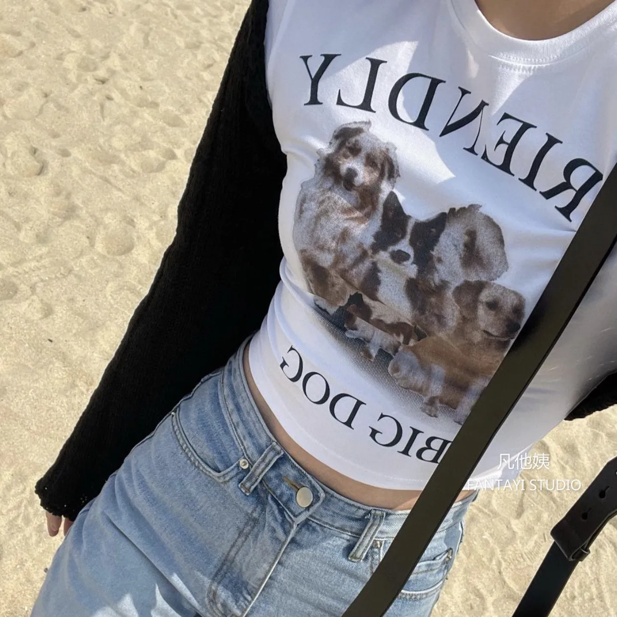 Karrram Korean Fashion Crop Tops Dog Printed Short Sleeve T-shirts Kpop Japanese Sweet Kawaii Tee Shirts Summer Fairycore Tshirt