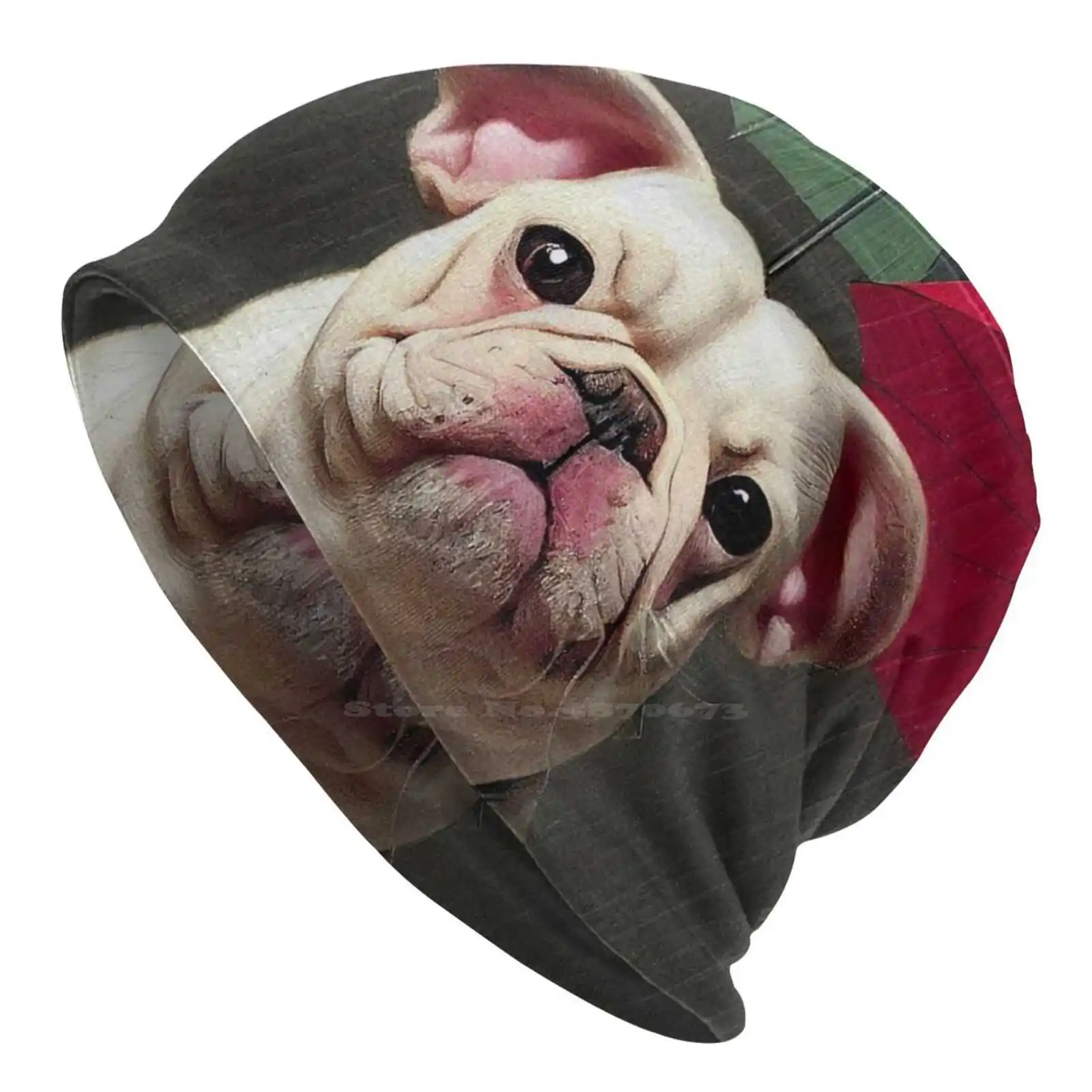 Cappello Lavorato A Maglia Pioggia E Bulldog Berretto Caldo Berretti Da Esterno Frenchie Bulldog Frenese Bouledogue Cane Carino Bella Rinascimentale