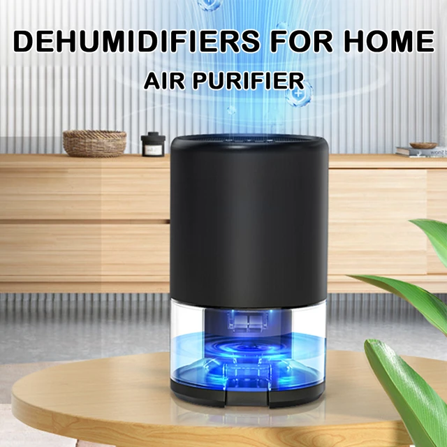 Deshumidificador para el hogar, secador de aire, absorbente de humedad –  LIZIVER