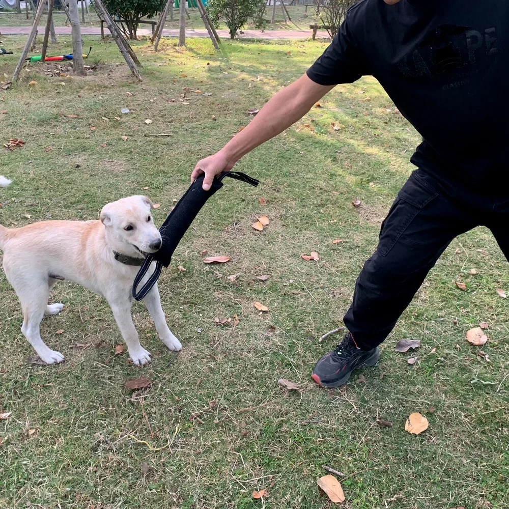 Dog Training Bite Stick Tear-Resistant Cloth Dog Biting Cushion Teeth Clean Grinding Molar Training Supplies