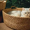 Pure Manual Cat Bed House Rattan Woven Four Seasons Nest Cat Scratch Board General Dandelion Woven Cool Pet Home Cat Accessories 2