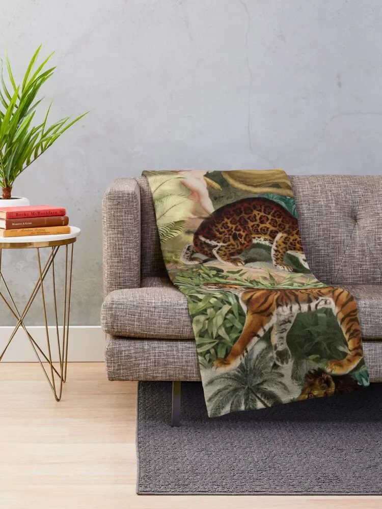 �ε巯�� ���� ���� ���, �� ������ ���, �ִϸ��̼� ķ�� ���� ��� ���