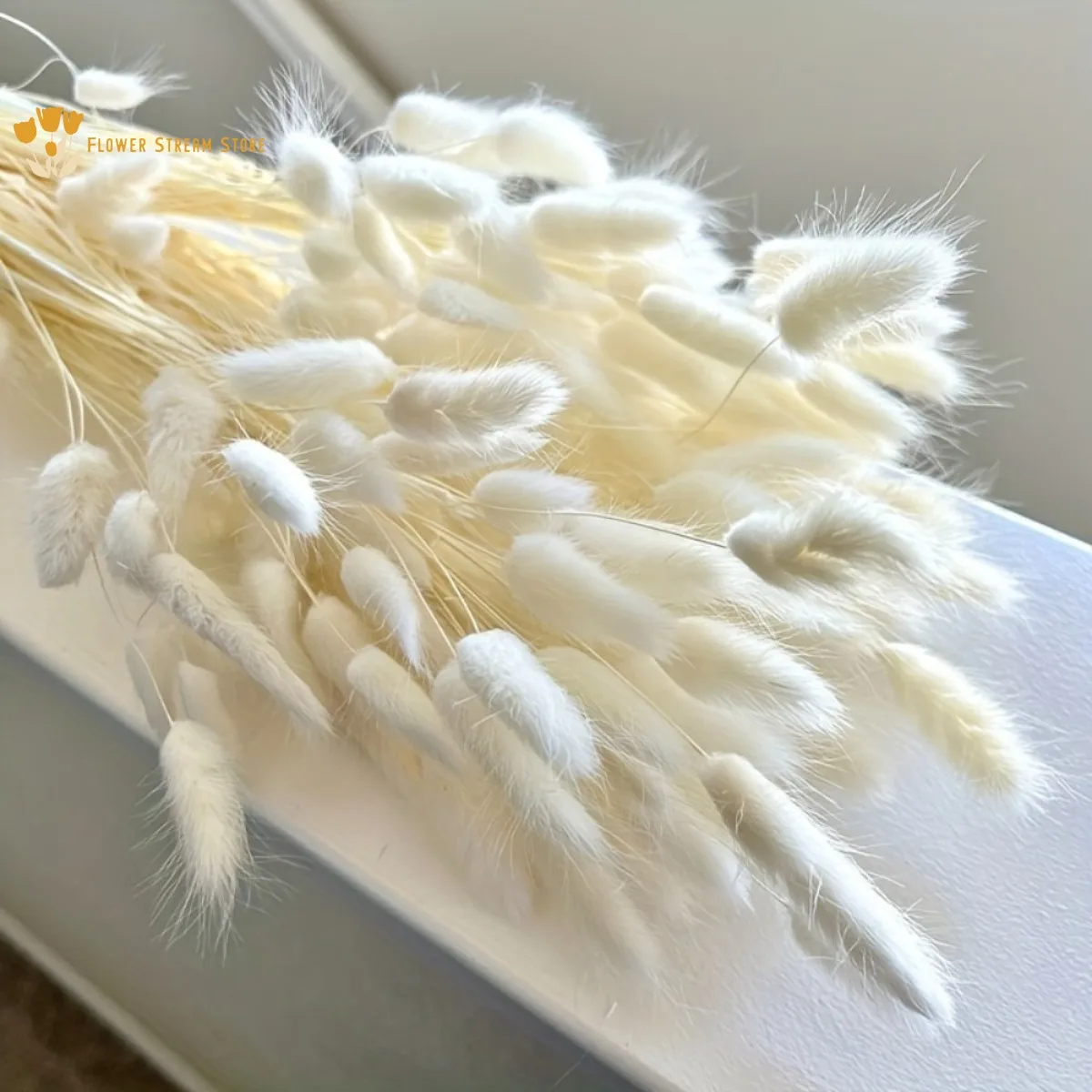 

60PCS/Lot Natural Rabbit Tail Grass Bouquet Home Table Decoration Bunny Tails Dry Grass Flower Bouquet Shooting Props Wholesale