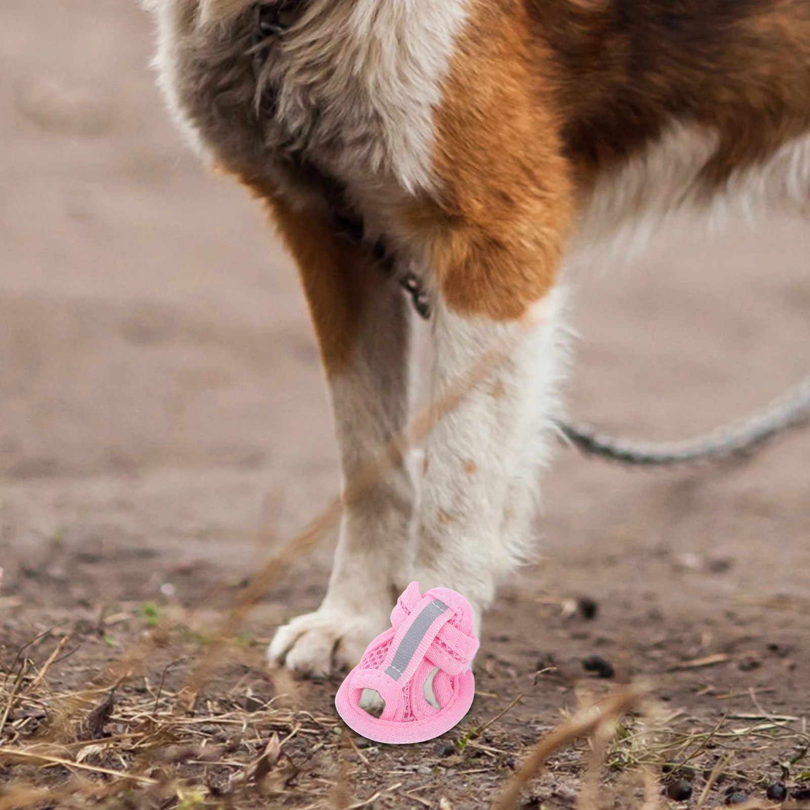 Breathable Mesh Summer Dog Shoes 6