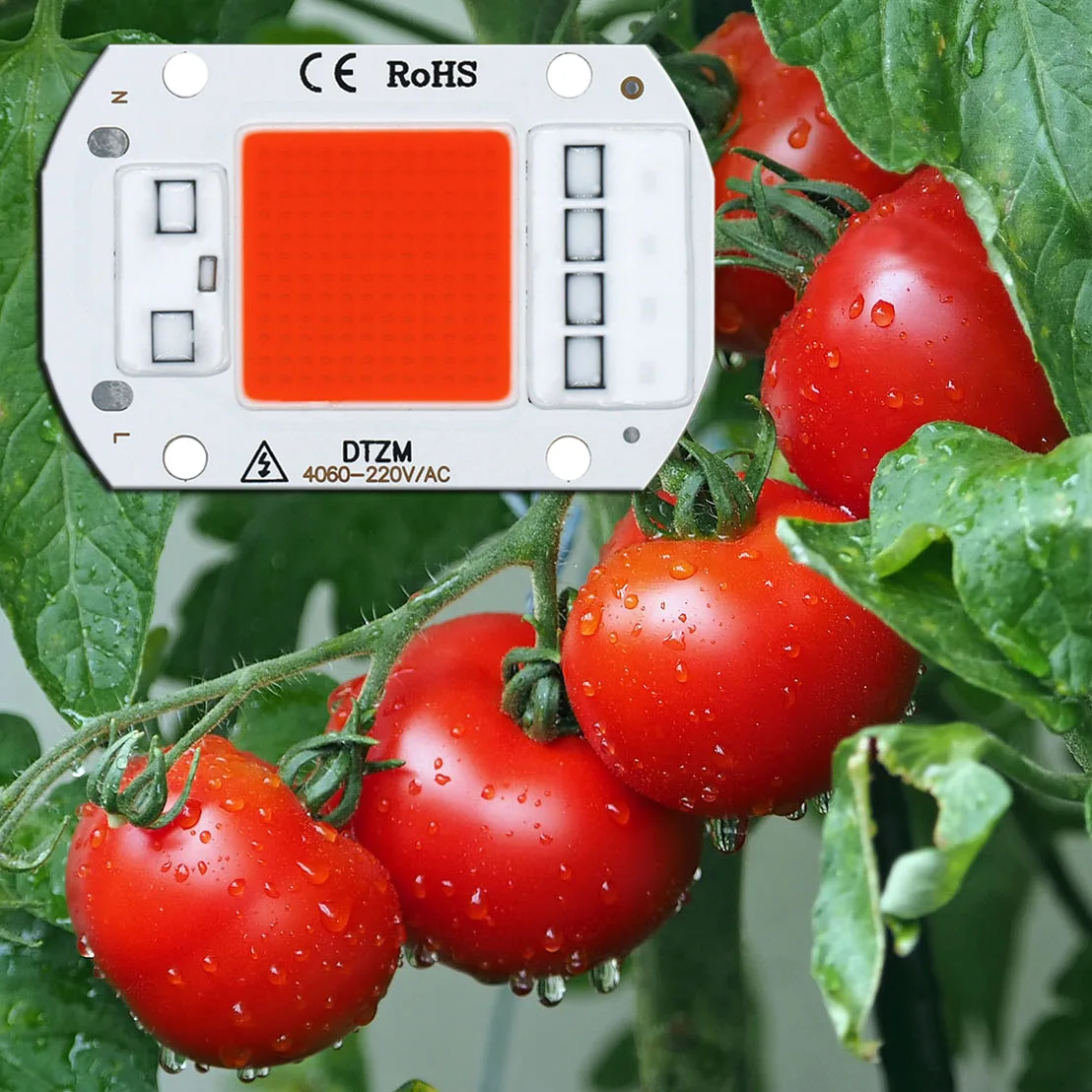 Led grow light full spectrum COB LED chip AC220V no need driver phyto lamp for indoor plant light seedling