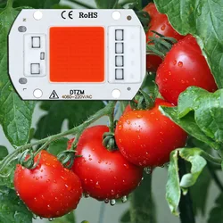 Full Spectrum LED Grow Light with Integrated COB Chip (AC220V)