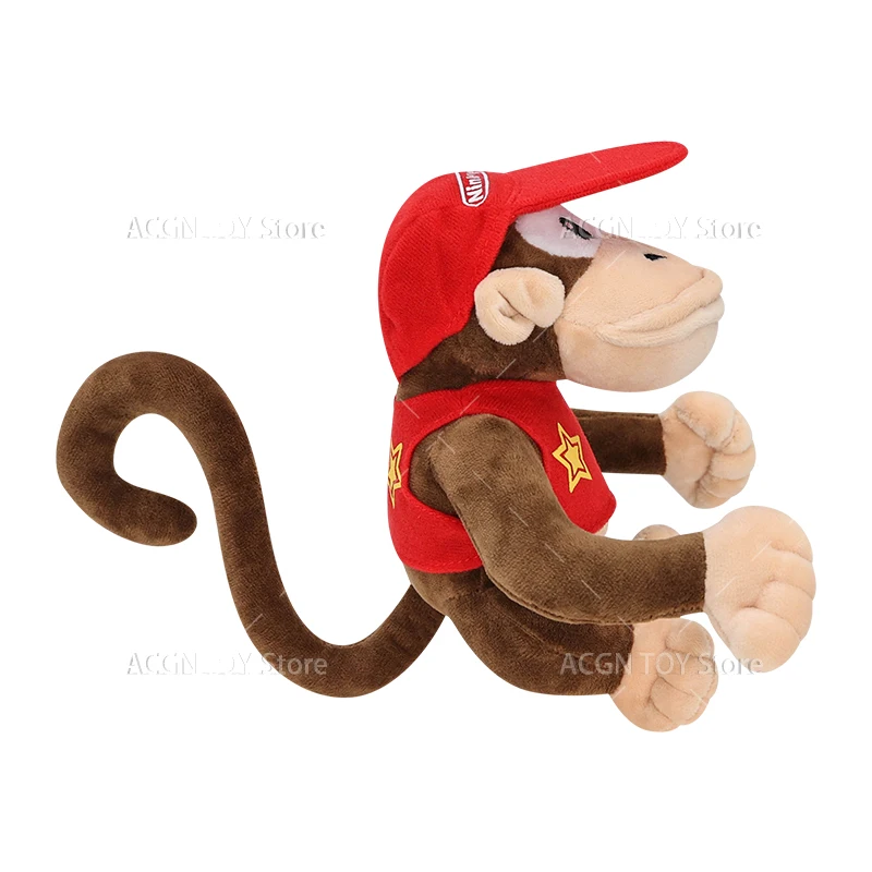 dsc-products