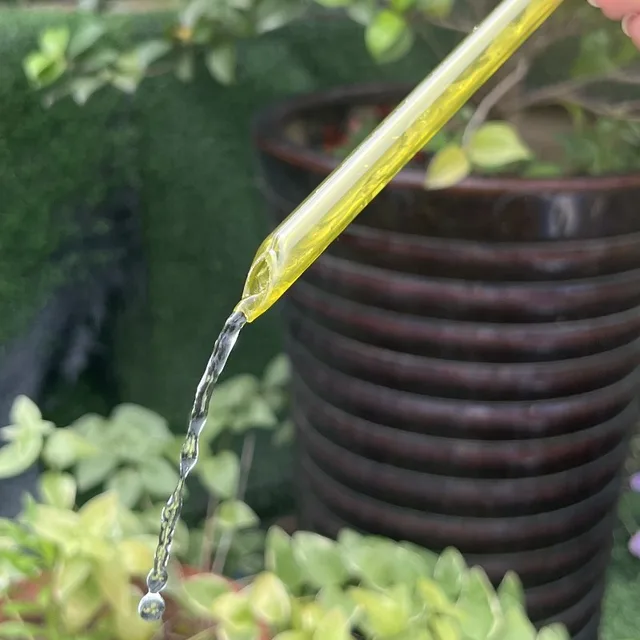 10/1x distributeur d'eau automatique pour plantes boule en plastique auto-arrosage fleurs intérieures et extérieures canettes d'eau pot de fleurs dispositif d'irrigation goutte à goutte 5