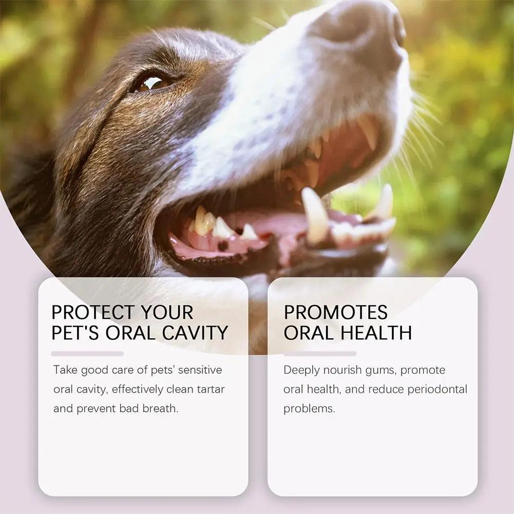 Pet Dental Pen Dog Teeth Cleaning Tools Tartar Remover Dog Grooming Toothbrush Fresh Breath Deodorant Reduce Pet Oral Clean Pen
