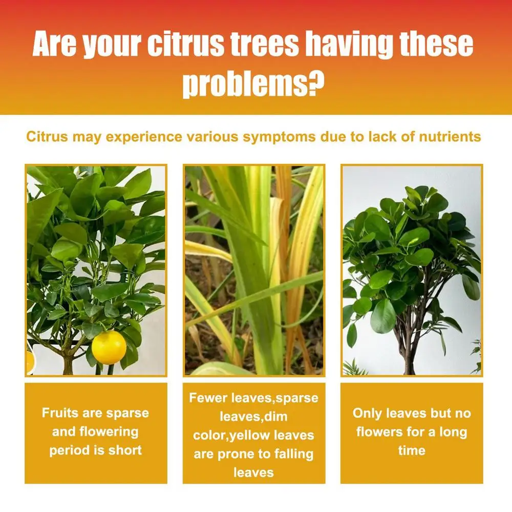 Description Picture 3 of item100ml Citrus Plant Fertilizer Indoor Plant Fertilizer Liquid Growth promoting Organic Liquid Nutrient Solution Rooting Nutrient