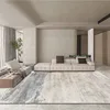 Modern High-grade Gray Large Area Carpets Living Room Decoration Carpet Washable Rugs for Bedroom Home Decor Mat Lounge Rug 4