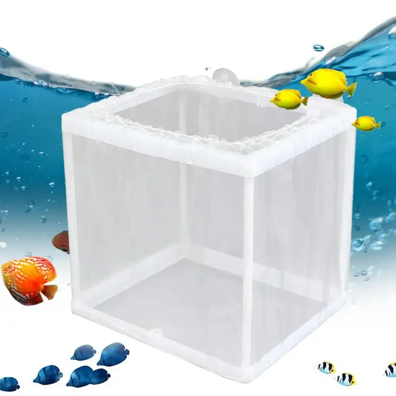Breeder Box for Fish Tank Fish Incubator Mesh Box Juvenile Fish Separation Net with Suction Cups Fish Tank Incubator Mesh Box 4