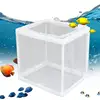 Breeder Box for Fish Tank Fish Incubator Mesh Box Juvenile Fish Separation Net with Suction Cups Fish Tank Incubator Mesh Box 4