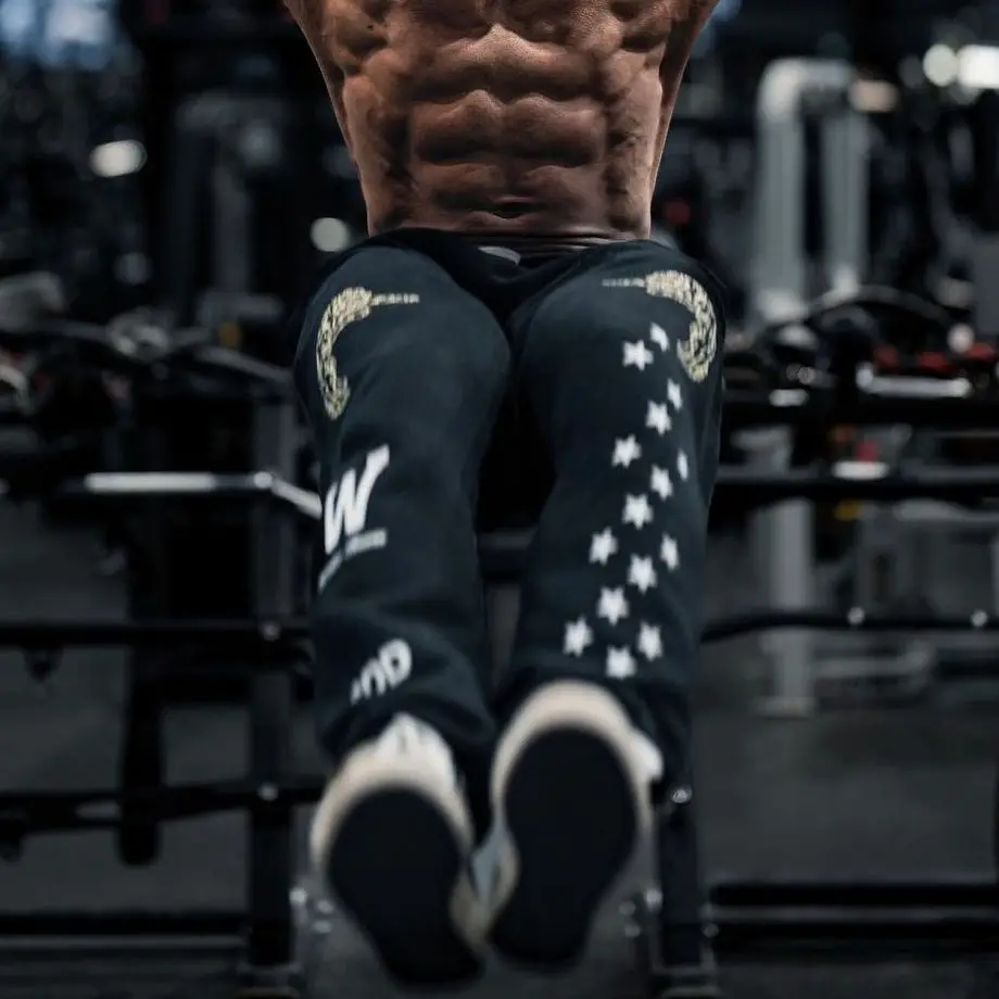 Darc Wolves Sweatpants Workout Bodybuilding Fitness Fleece High Quality US Size Gym Men Clothing Oversized Darcs Pants