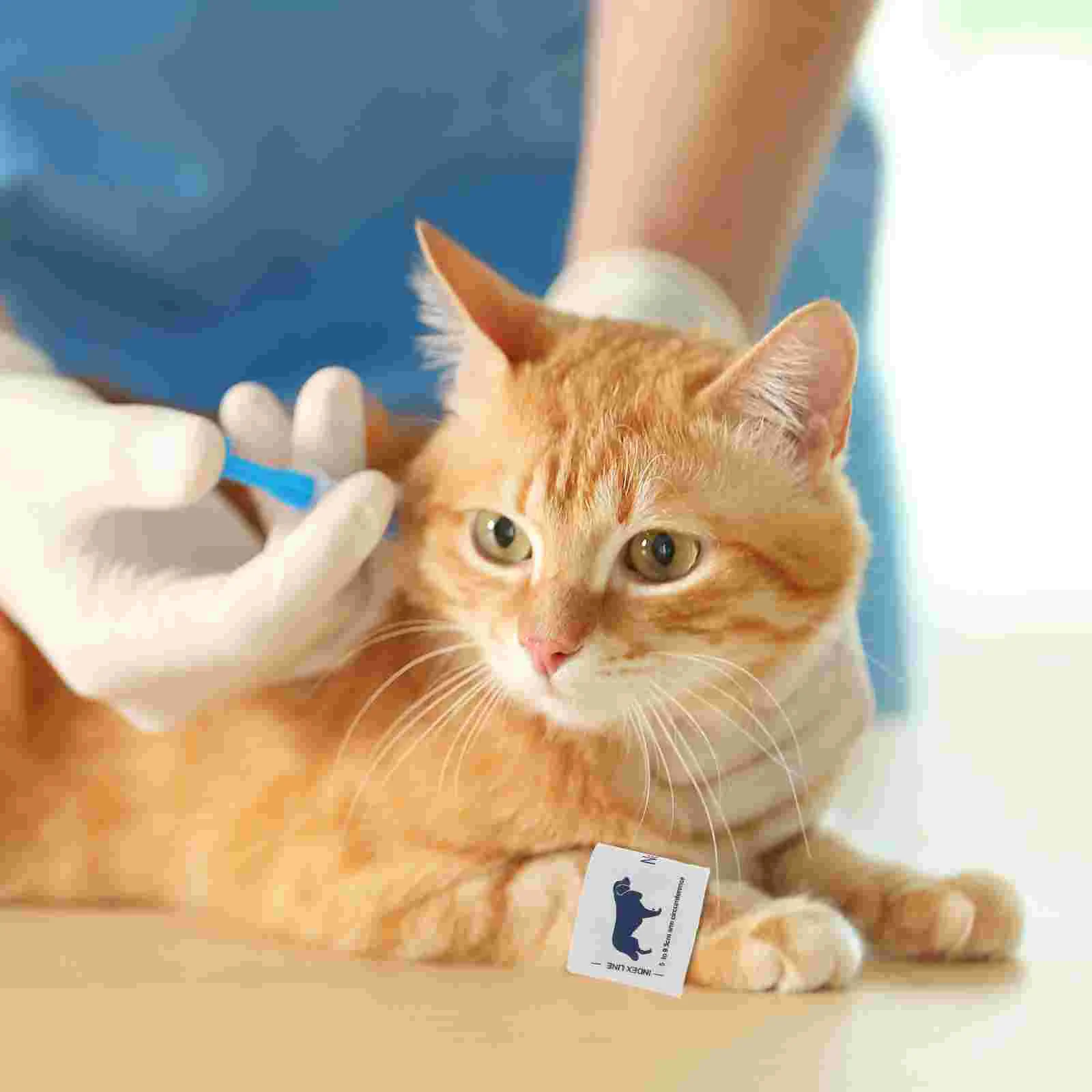 Vet Animal Cuff Bp for Pet Veterinary Supplies Dog Monitor Armband