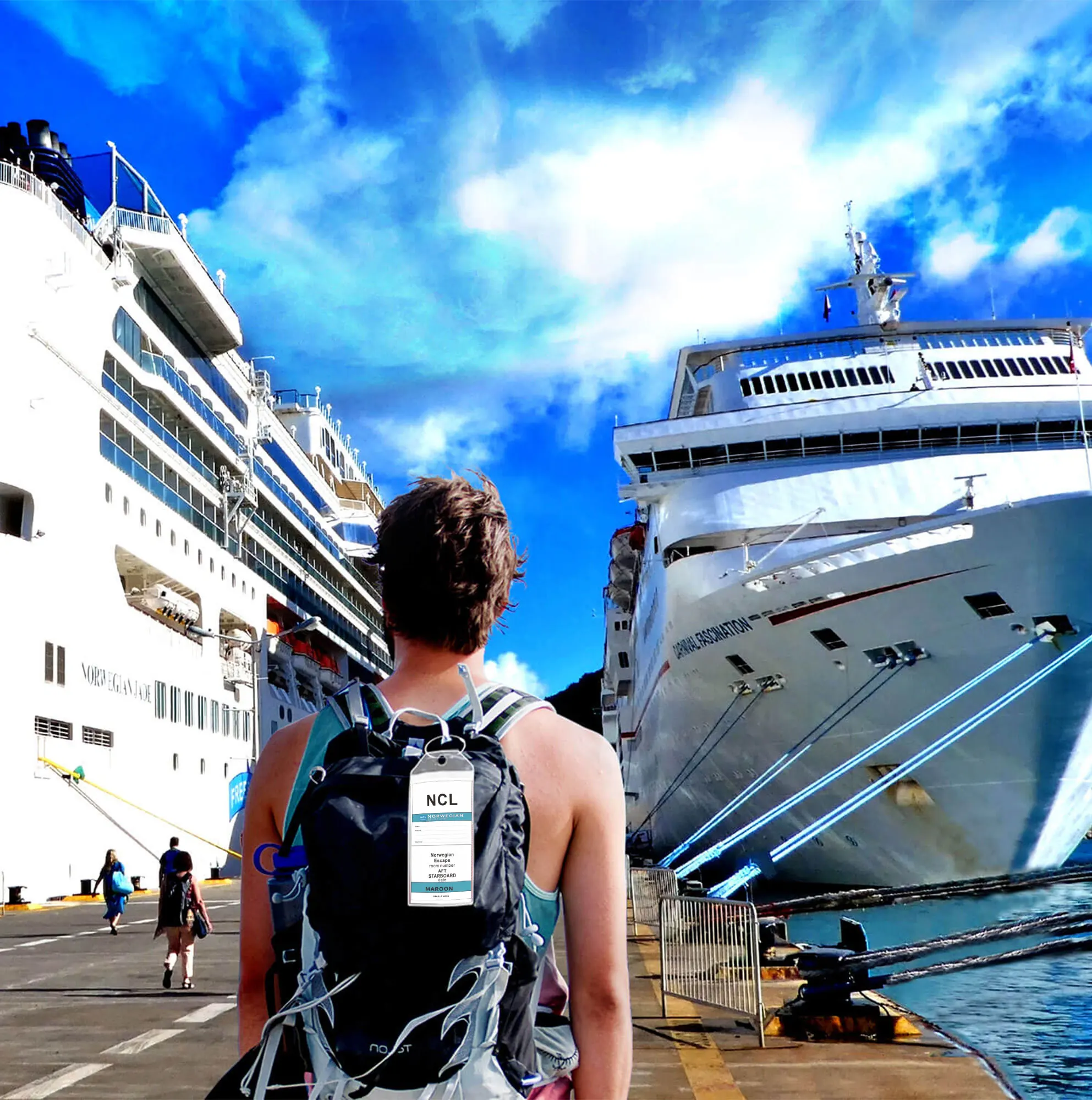 Рисунок 6 - Багажная бирка NCL для норвежского круизного лайнера