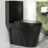 Elongated One Piece Toilet, 17.32'' Comfortable Seat Height ADA Toilet, Dual Flush Toilet with High Efficiency 1.1/1.6 GPF 1