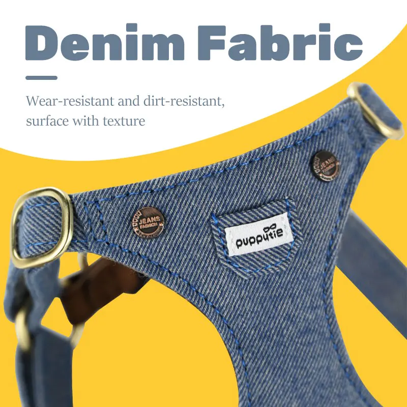 Leash and Harness Set