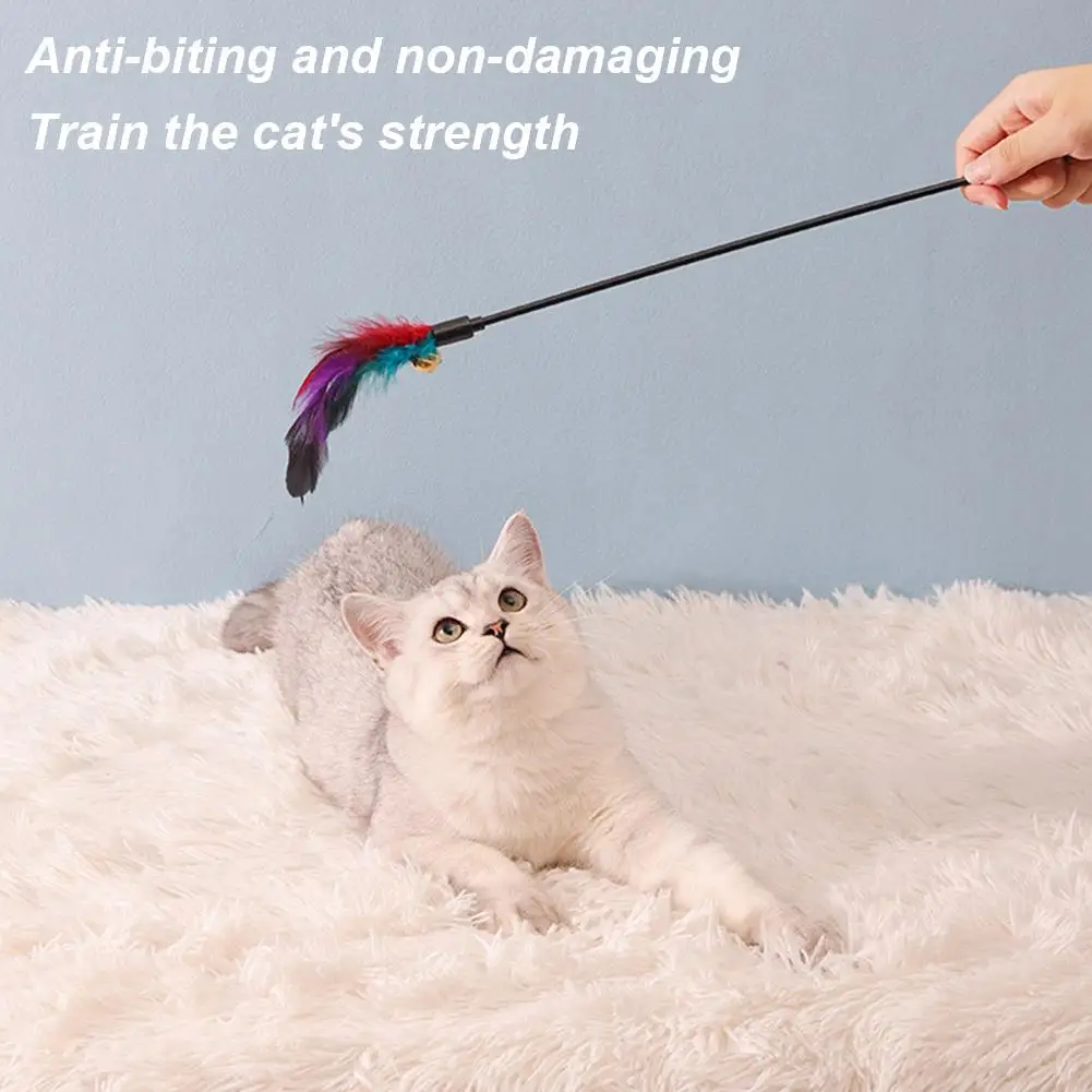 Cats Interactive Feather Toy Sa60aa553958a4f20b58aa5d454405057Y
