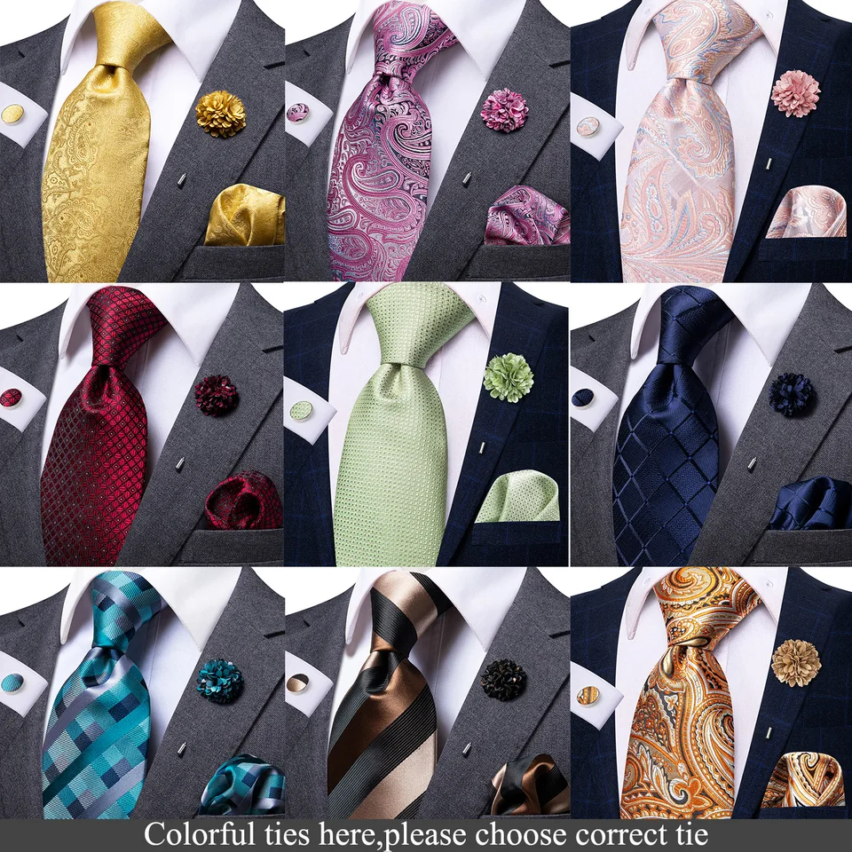 Enlision Cravatta a Quadri Grigio Cravatta e Fazzoletto da Taschino con Set fermacravatta Formali Matrimonio Feste Cravatte per Uomo,Grigio