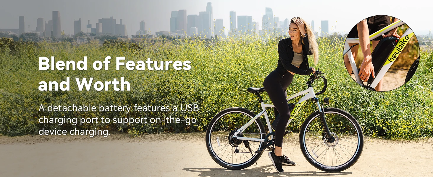 Heybike RaceMax electric bike