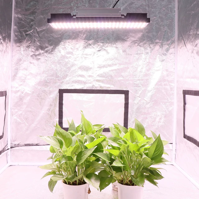 Samsung Lm282B Quantum Led Grow Light Valóban Kimenetel 240W Hidroponikus Növények Teljes Spektrumú Fito Lámpa Zöldség És Virágzáshoz - Image 6