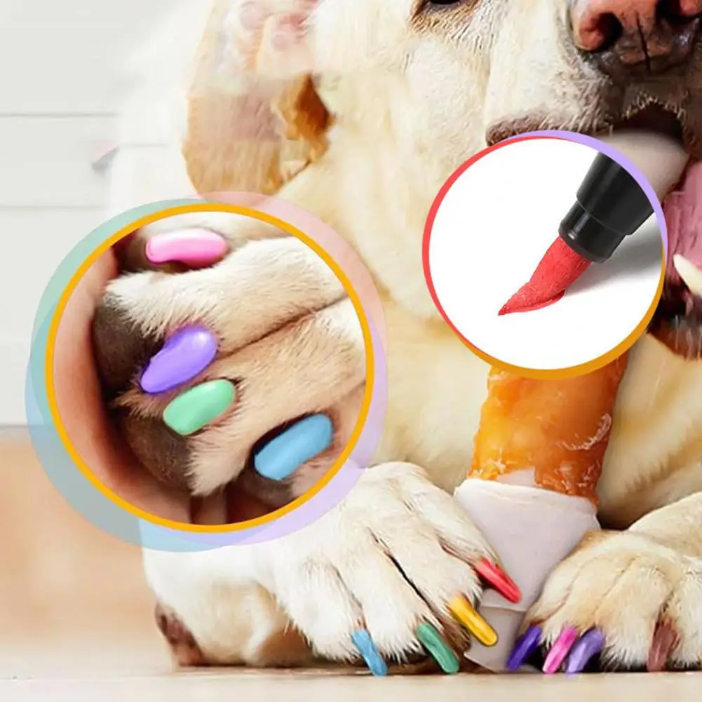 Pet Nail Art Pen for Dogs Cats Stylish Pet Nail Design Tool 12-color Quick Dry Art Pen Set for Puppy Cat Soft Small