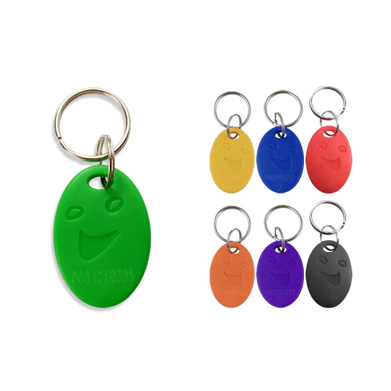 Pack of 100 RFID Key Fob Keychain Tags