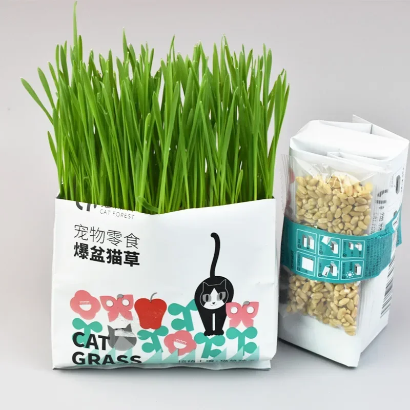 Cat Grass Cat Snacks Hair Ball Grass Potted with Seeds Promote Digestion
