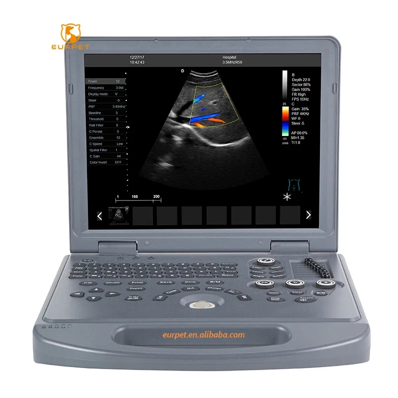 

EURPET Digital System Equipment 2d 3d Human Veterinary Usg Color Doppler Price Ultrasound Machine Portable Scanner