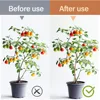 Dark Green 6-Claw Plant Clips 10-50Pcs Bundle Branch Climbing Stem Clasp Tied Orchid Flowers Support Clamps Plant Accessories 5
